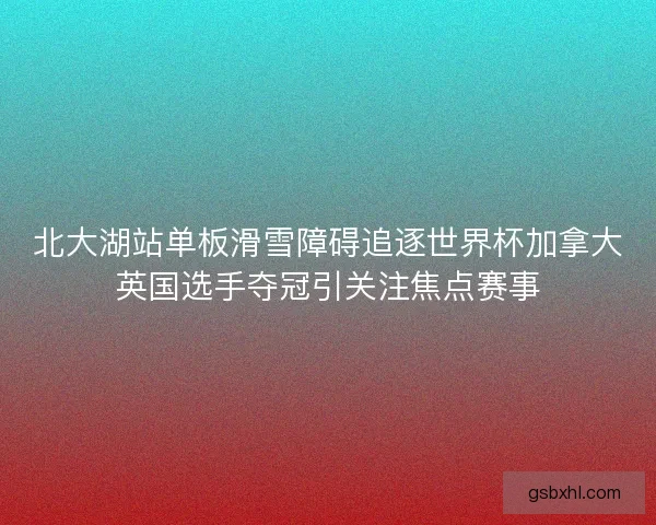 北大湖站单板滑雪障碍追逐世界杯加拿大英国选手夺冠引关注焦点赛事